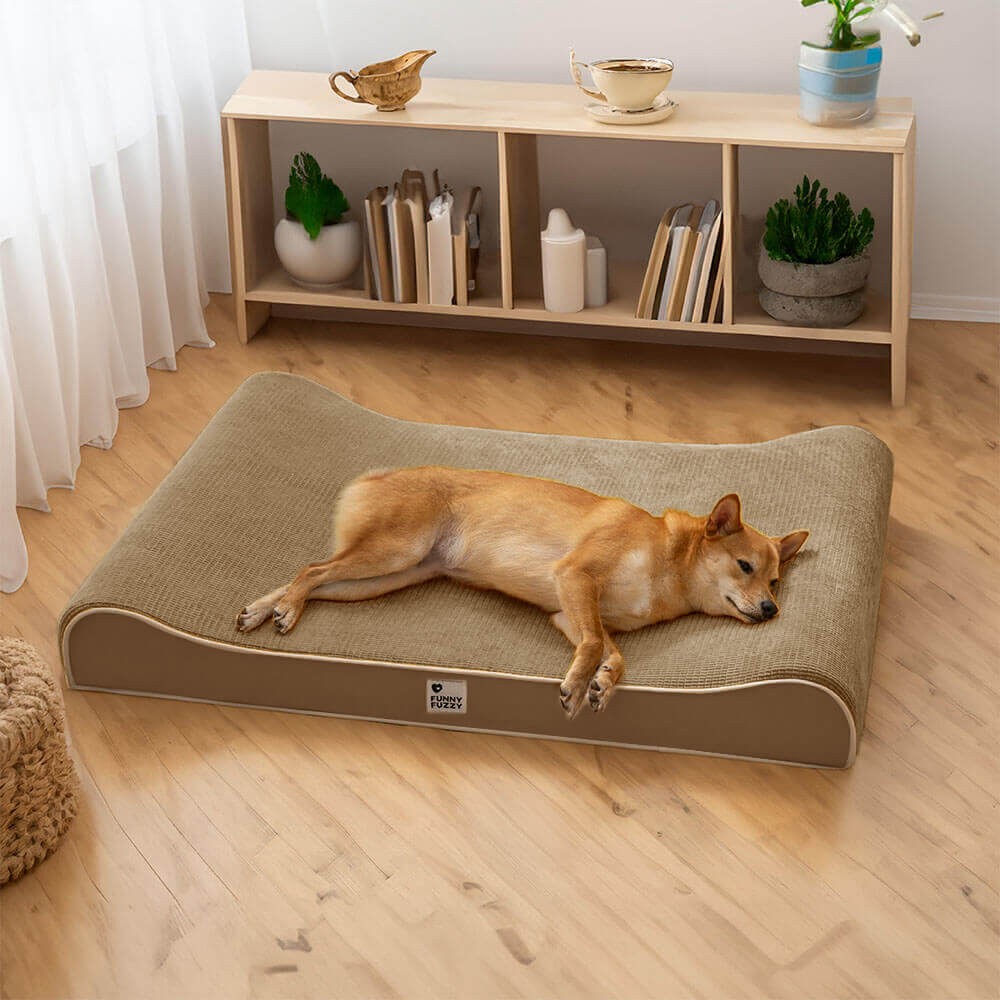 Luxurious Nobility Dog Lounge Chair Orthopaedic Dog Bed