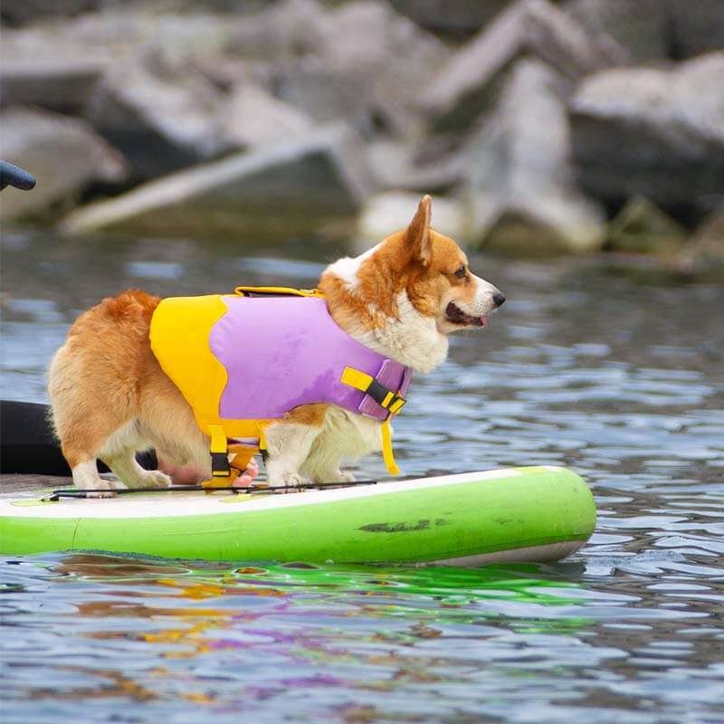Giubbotto salvagente per cani con giubbotto galleggiante regolabile