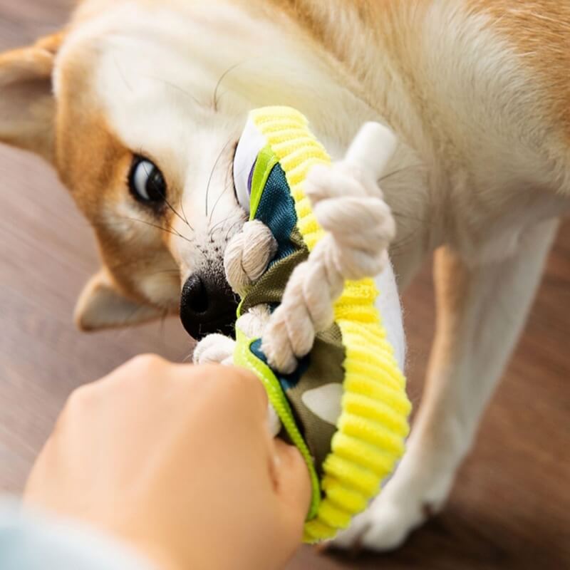 Jouet de dentition pour chien, pantoufles en corde de coton