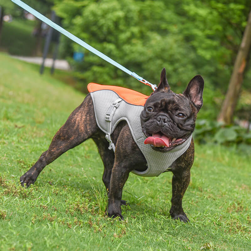 Breathable Vest For Sunstroke Prevention Water-soluble Dog Cooling Vest