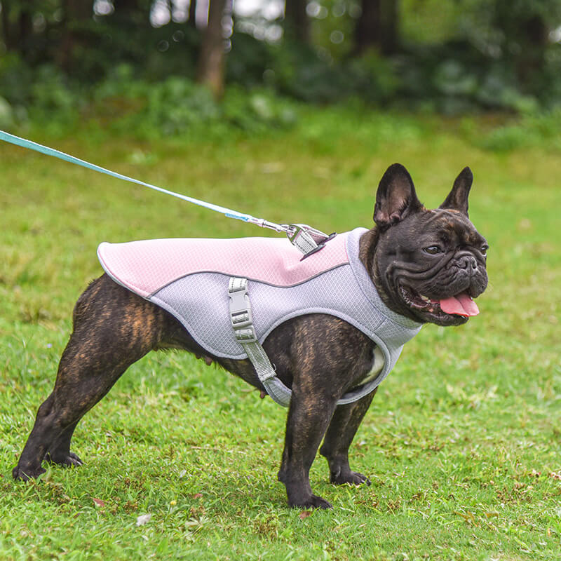 Breathable Vest For Sunstroke Prevention Water-soluble Dog Cooling Vest