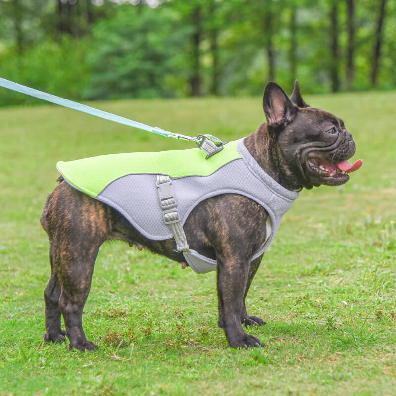 Breathable Vest For Sunstroke Prevention Water-soluble Dog Cooling Vest