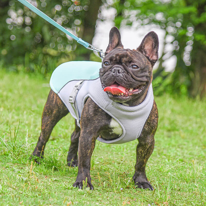 Breathable Vest For Sunstroke Prevention Water-soluble Dog Cooling Vest