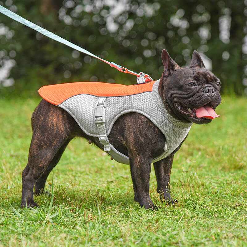 Breathable Vest For Sunstroke Prevention Water-soluble Dog Cooling Vest