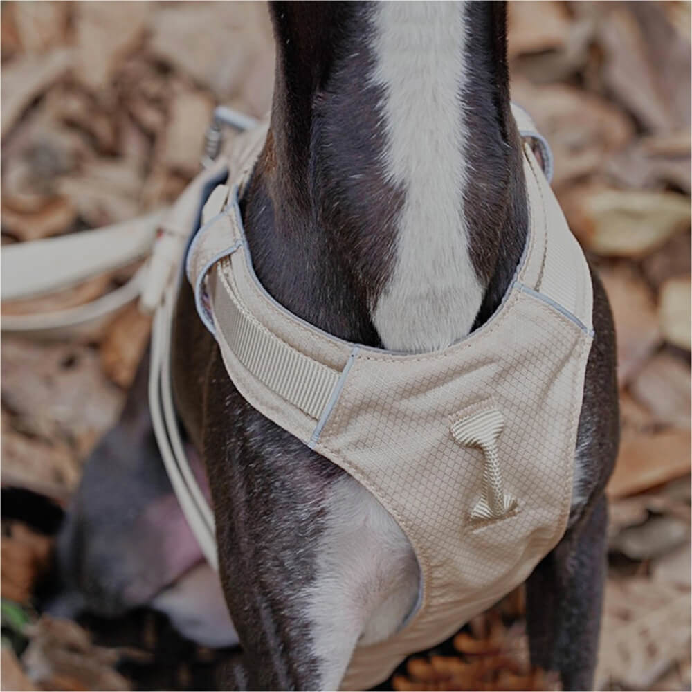 Lightweight Waterproof Breathable Anti-Pull Dog Harness and Multifunctional Lead