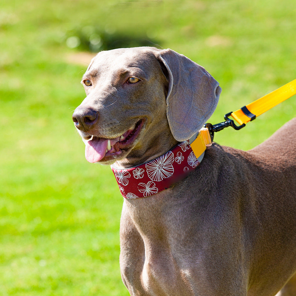 Collier d'accessoires pour chien élégant et confortable sans traction
