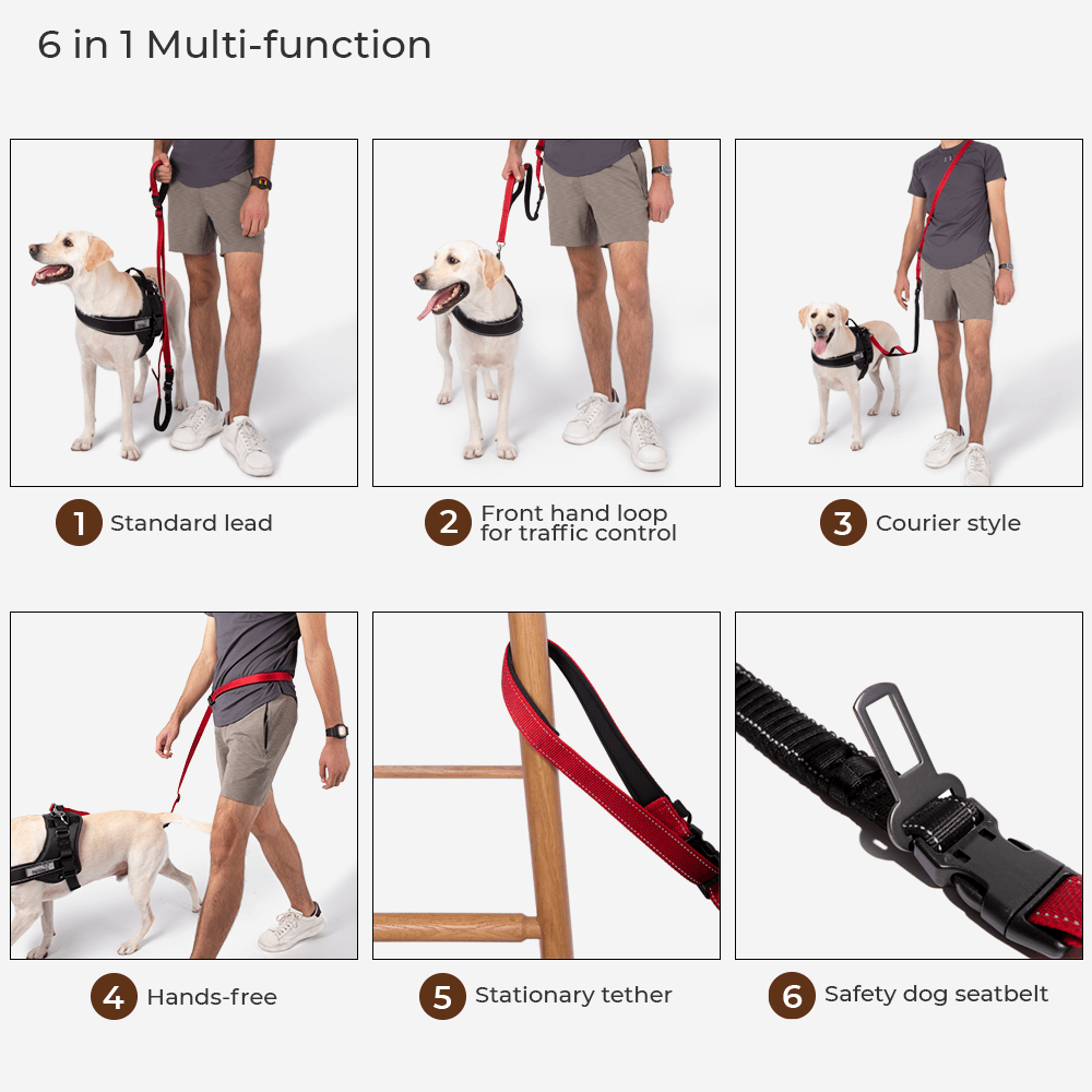 Sport Dog Walk Set | Multifunction Hands Free Dog Lead And No Pull Dog Harness