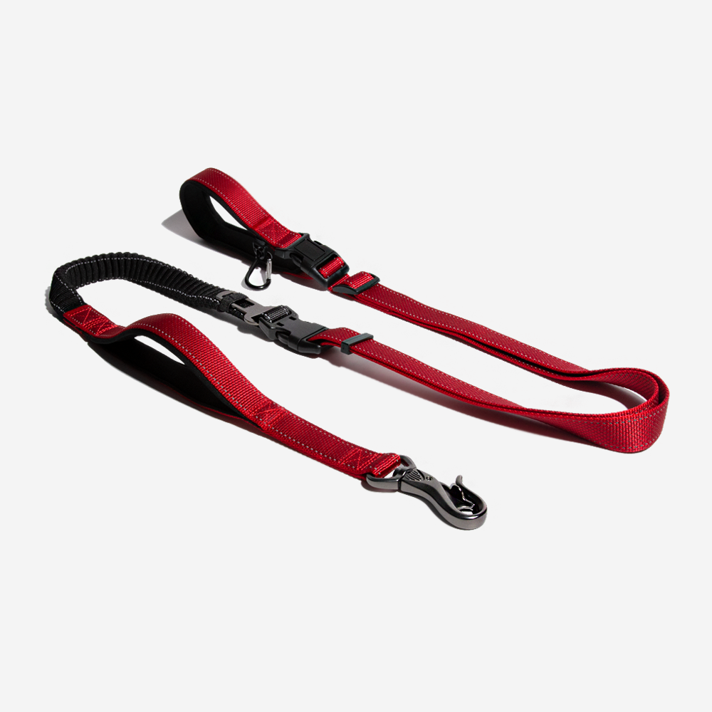 Multifunction Hands Free Dog Lead With Safety Seat Belt