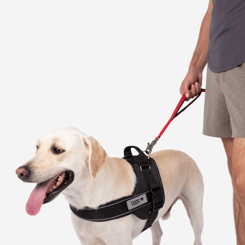 Sport Dog Walk Set | Multifunction Hands Free Dog Lead And No Pull Dog Harness