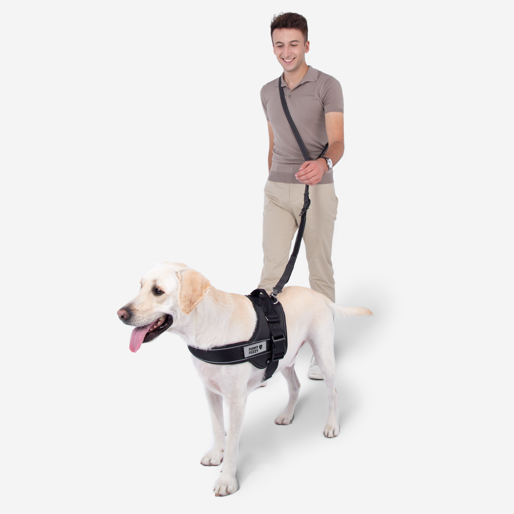 Multifunction Hands Free Dog Lead With Safety Seat Belt